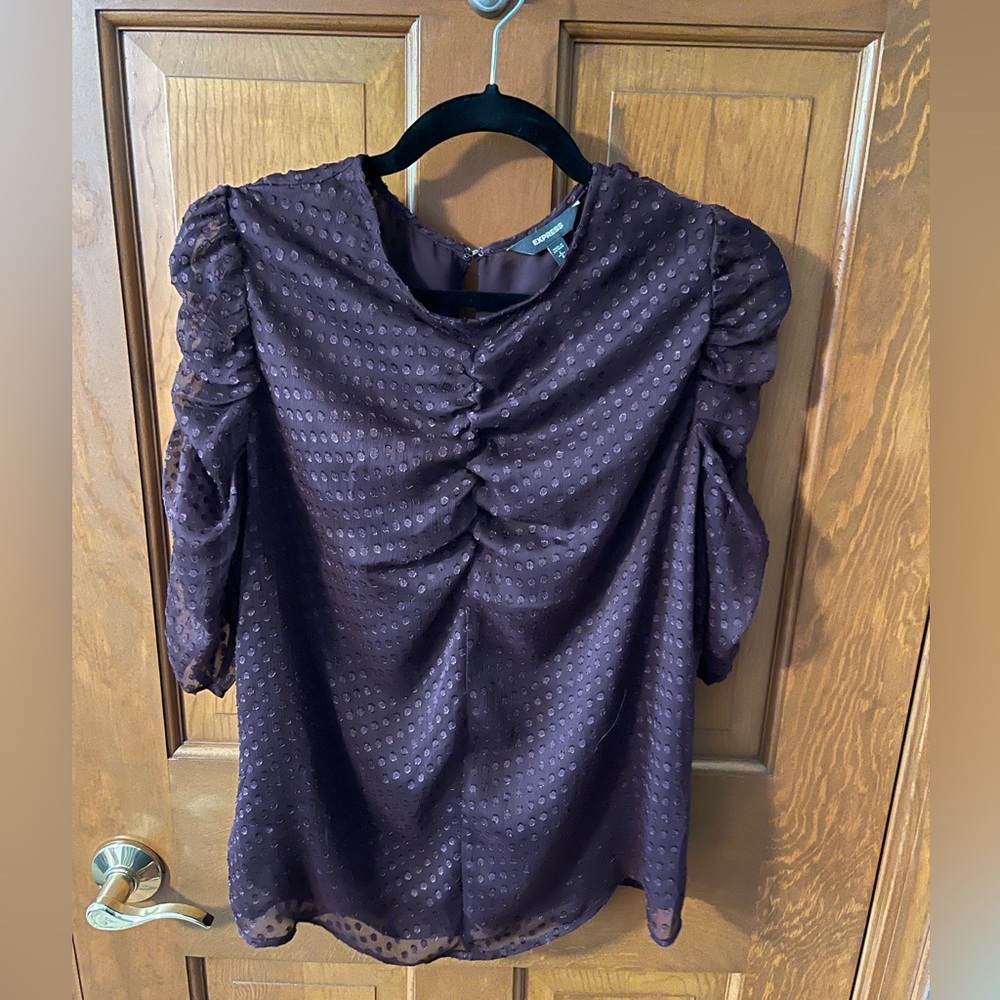 Express Women’s Dark Purple Sheer Swiss Dot Short sleeve blouse Size Large.